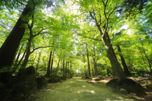 会場イメージ10